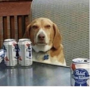 Haveyoueverheardthetragedyofdarthplagueisthewise?